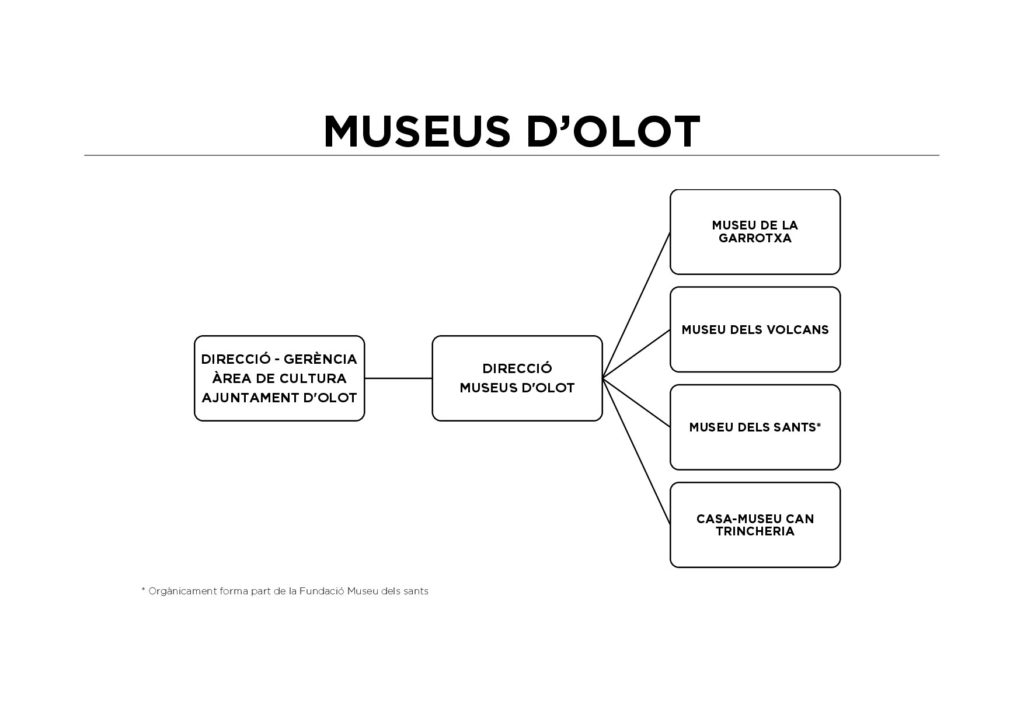 Organigrama dels Museus d'Olot.